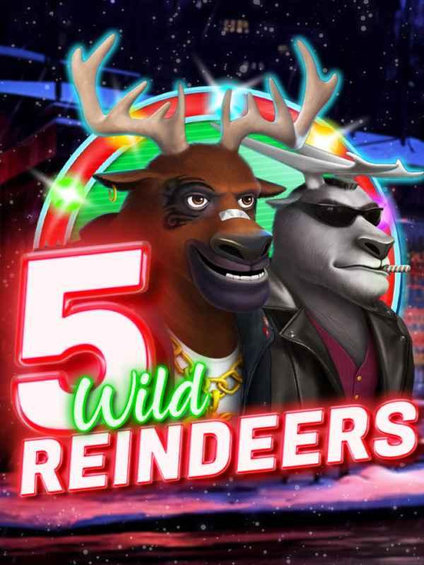 5 Wild Reindeers