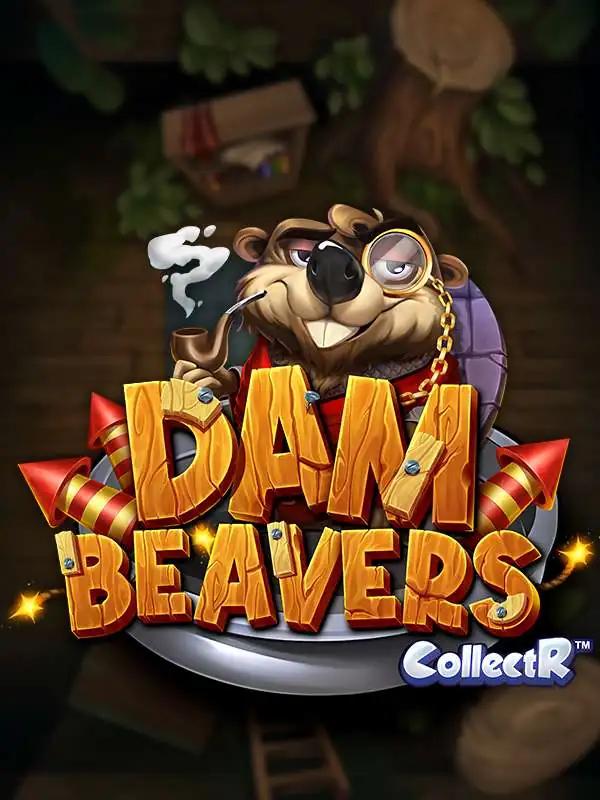 Dam Beavers