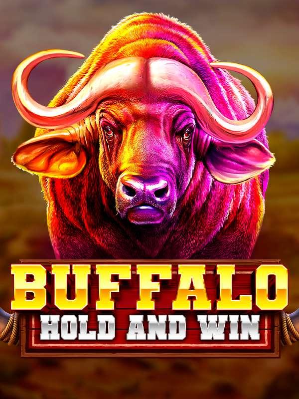 Buffalo Hold and Win