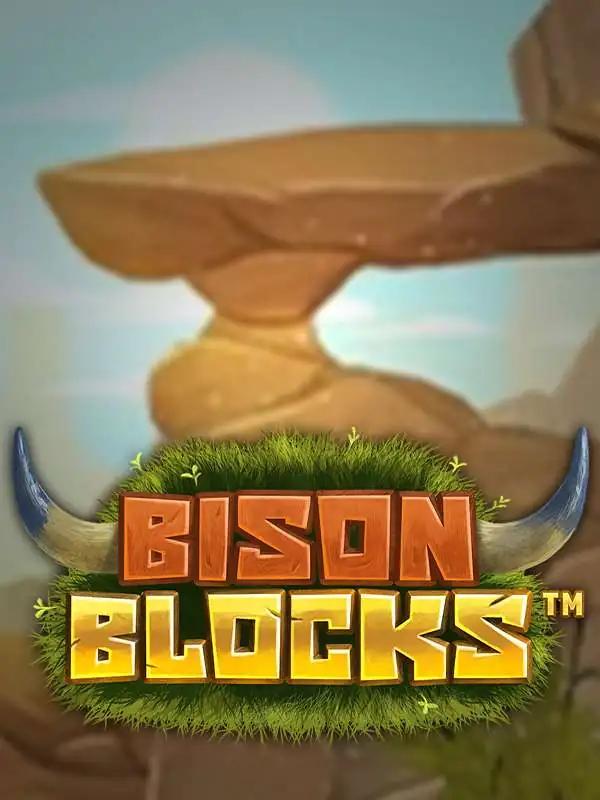 Bison Blocks